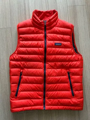 Patagonia 다운 베스트