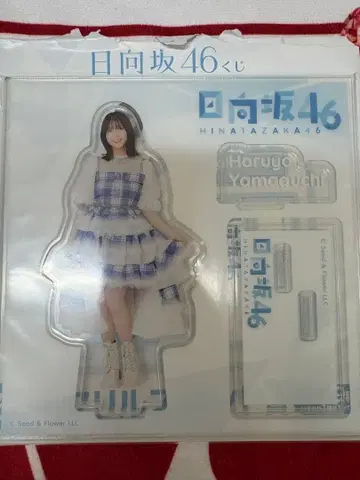 히나타자카46 야마구치 하루요 아크릴 스탠드 캔뱃지