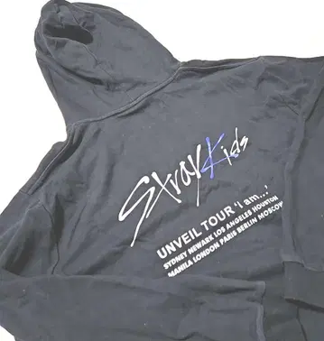 Straykids 로고 후드티