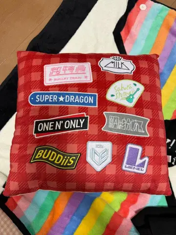 EBiDAN 쿠지 쿠션