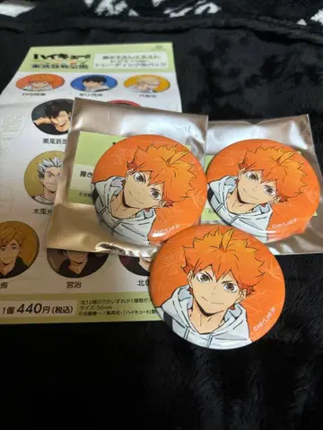 하이큐!! 캔뱃지 토부 동물공원 히나타 쇼요