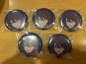 효도르 도스토옙스키 영 에이스 부록 특전 캔뱃지 5점