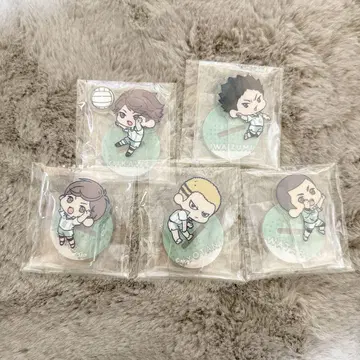 와챳토 하이큐 아오바죠사이