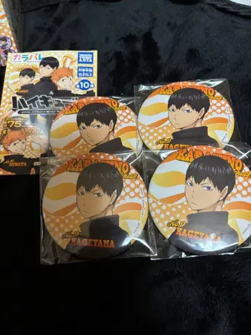 하이큐!! 카라파레 캔뱃지 뒤돌아보기 카게야마 토비오