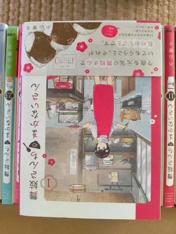 마이코네 집의 밥벌이 30권 세트