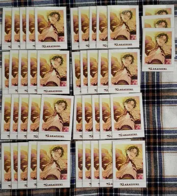 하스미 케이토 앙스타 파샤코레