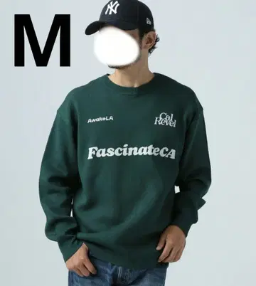 BAYFLOW 플로라이트 니트 풀오버 M 그린 남성용 니트