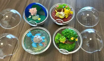 포켓몬 테라리움 컬렉션 4개 세트