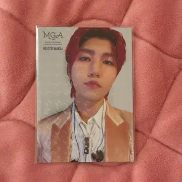 Mrs. GREEN APPLE 포토 카드 와카이 히로토 레어 랜드마크