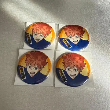 하이큐!! 여름 축제 트레이딩 캔뱃지 히나타 쇼요 4점