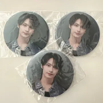 익명 배송 SEVENTEEN 세부치 right here 캔뱃지 준