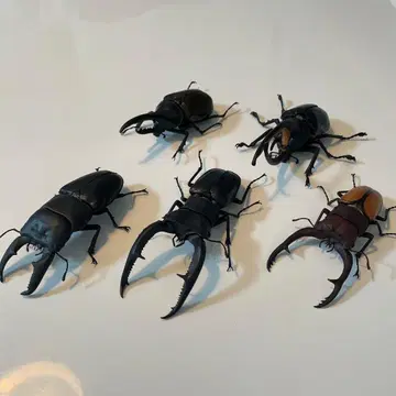 생물대도감 묶음 판매