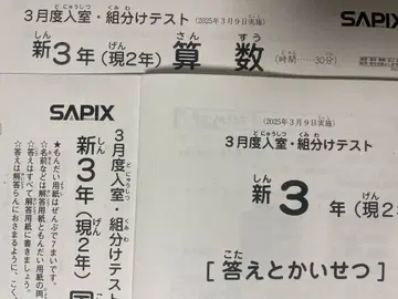 SAPIX 신 3학년 국어, 산수 입실 조별 나누기 테스트