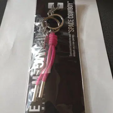 이와타 타카노리 백참