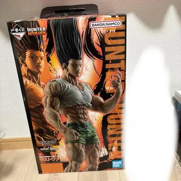 HUNTER x HUNTER 곤 씨 라스트 원 히소카 Grandista