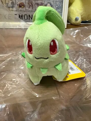 포켓몬 fit 치코리타 미사용 새상품