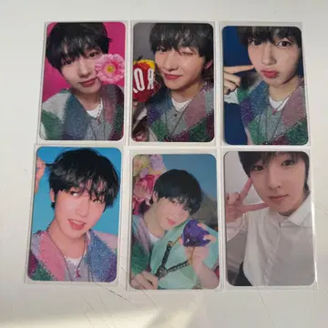 즉시 구매 nct wish song bird 앨범 사쿠야 세트