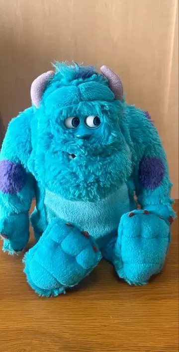 [ 디즈니 ] 트레이닝 설리 몬스터즈 유니버시티