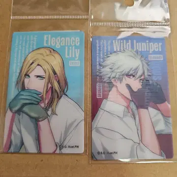 란마루 카뮤 렌티큘러 카드 우타프리 그라쇼 우타노 프린스사마