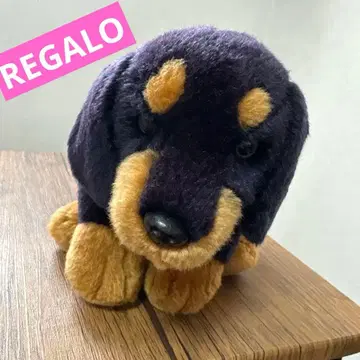 레가로 봉제 인형 개 닥스 블랙탄