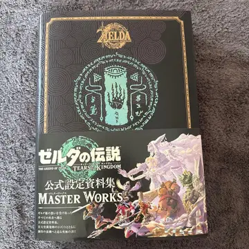 젤다의 전설 티어스 오브 더 킹덤 마스터 웍스