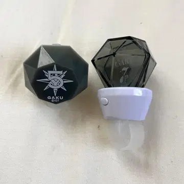 아이나나 야오토메 가쿠 링 라이트