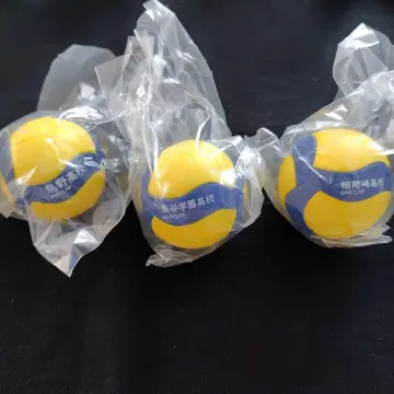 하이큐 x MiKASA 배구