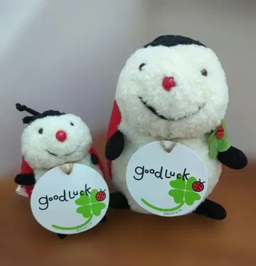 [ 새상품급 ] 동심 무당벌레 텐텐 봉제 인형 GoodLuck 세트 판매