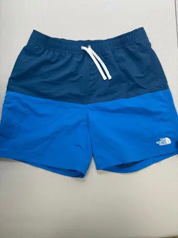 The North Face 숏팬츠 파랑/네이비