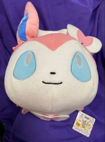 포켓몬 코로링 프렌즈 데카 봉제 인형 []