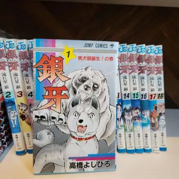 은아 -별똥별 은- 전 18권 세트