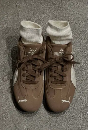 PUMA 스피드 캣 브라운 오토 커피 스피드캣