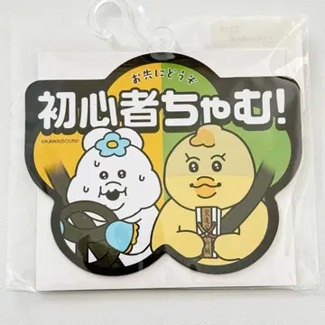 돈키 카 마그넷 초심자