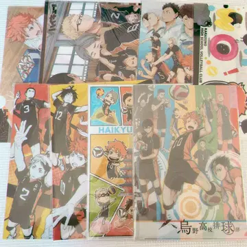 하이큐 클리어 파일 J-World 히나카라스 카라스노