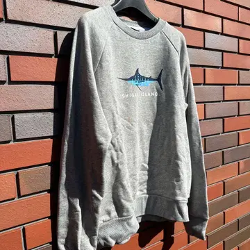 [ 이시가키섬 한정판 ] HELLY HANSEN 트레이닝복 L 그레이