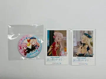 히메히나 전국 투어 서 나고야 캔뱃지&폴라로이드 세트