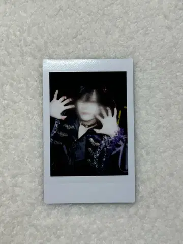 유손 폴라로이드 러브 시크