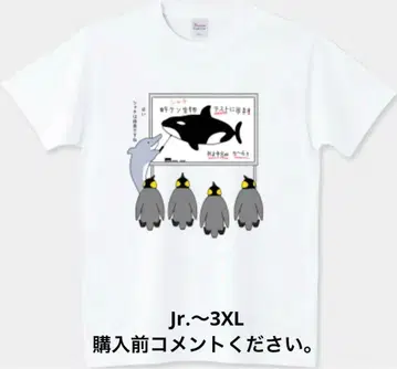 펭귄 T셔츠 수업 돌고래 선생님 동물원 학생 범고래 참스 맨싱