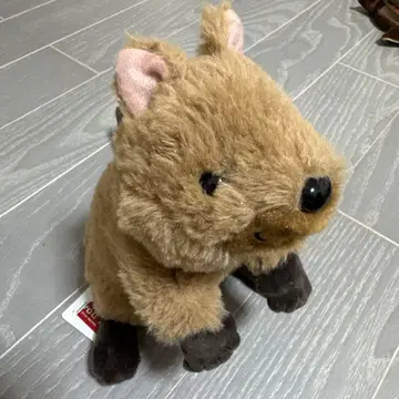 중형 브라운 봉제 인형 쿼카