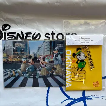 Disney 아크릴 키링 오키나와 Japan Tour 덤 포함