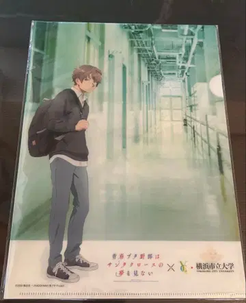 청춘 돼지는 요코하마 시립 대학 콜라보 파일