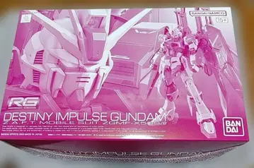 RG 디스티니 임펄스 건담