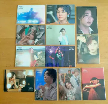 미세스 그린애플 오오모리 모토키 노아의 방주 포토 카드 12장