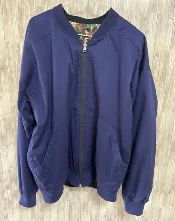 그라니프 드래곤볼 리버서블 블루종