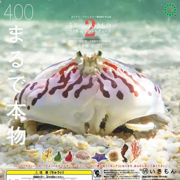 [ 미개봉 컴플리트 ] NTC 바닷가 생물 네이처 테크니컬러 가챠