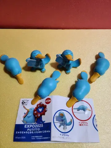 EXPO2025! 오사카 만박! 오리너구리 이코짱 6세트