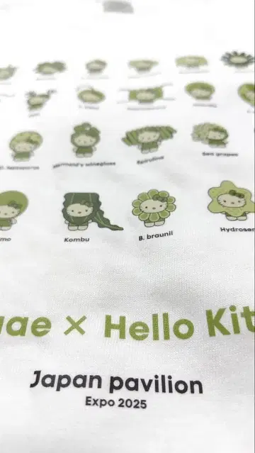 일본관 키티 T셔츠 M