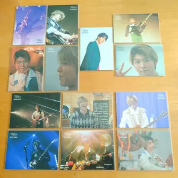 미세스 그린애플 와카이 히로토 노아의 방주 포토 카드 13장