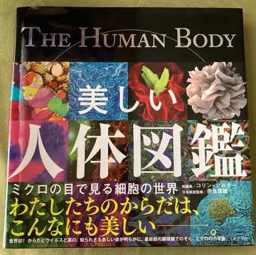 아름다운 인체 도감 미세한 눈으로 보는 세포의 세계