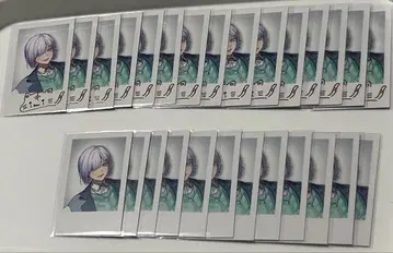 성세 이즈미 폴라로이드풍 카드 니지산지 27장 세트